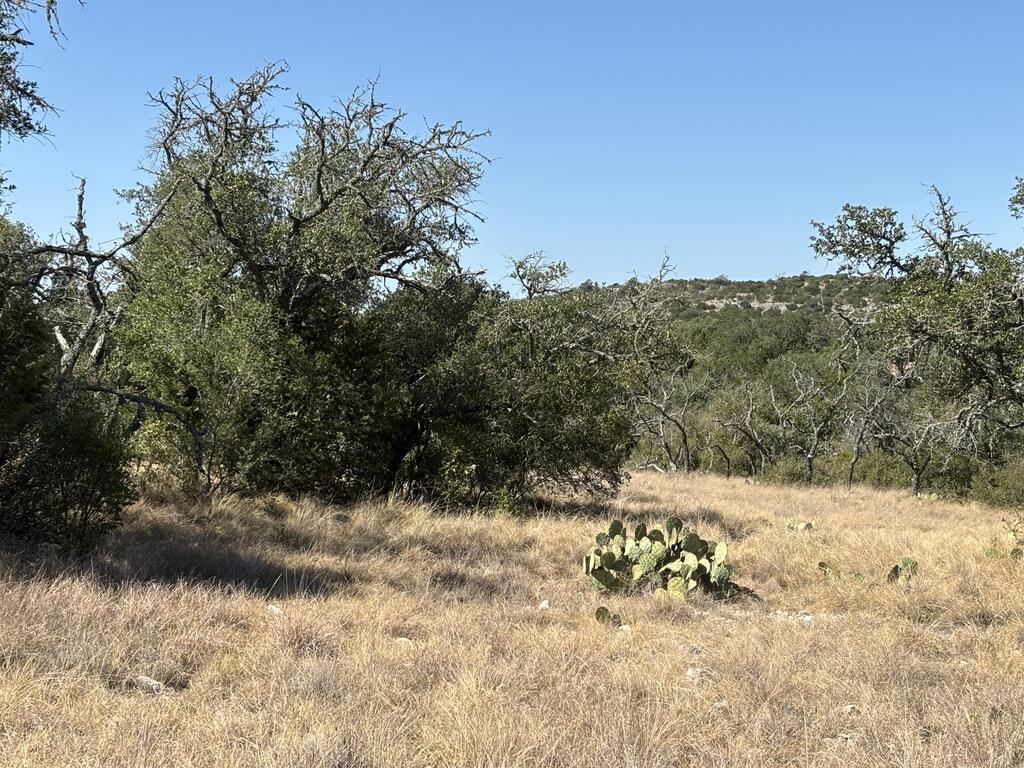 00 Cr 440 Property Photo 57