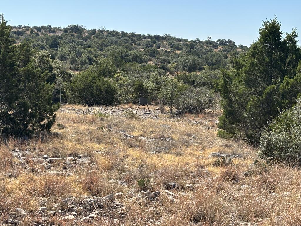 00 Cr 440 Property Photo 62