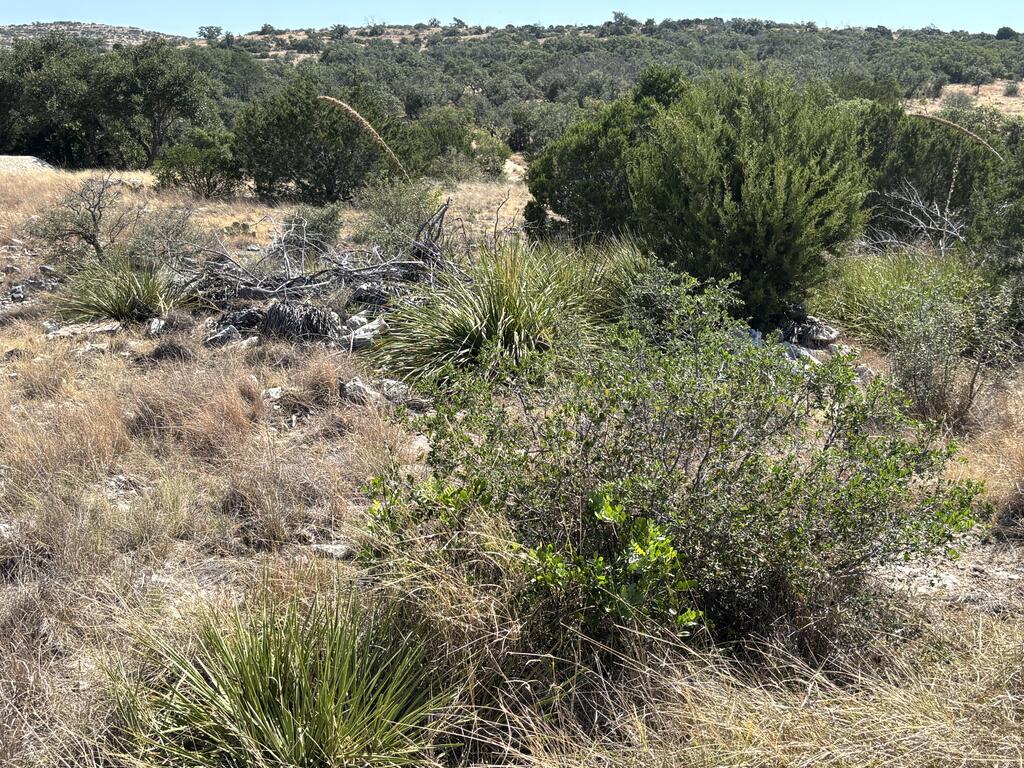 00 Cr 440 Property Photo 63