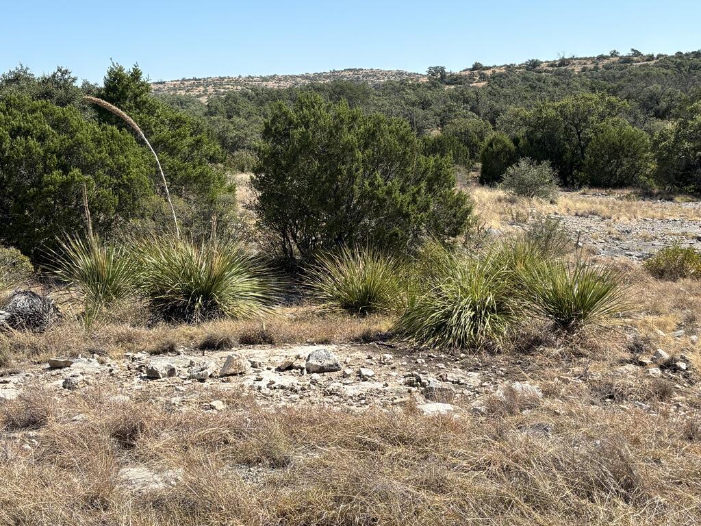 00 Cr 440 Property Photo 64