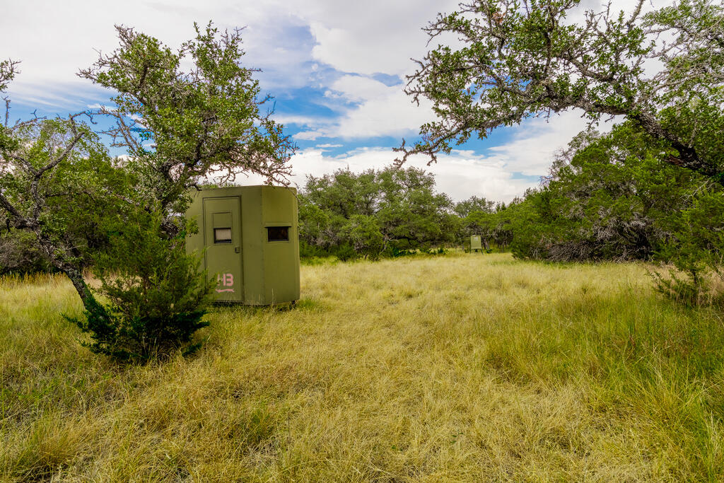 125434 Property Photo 39