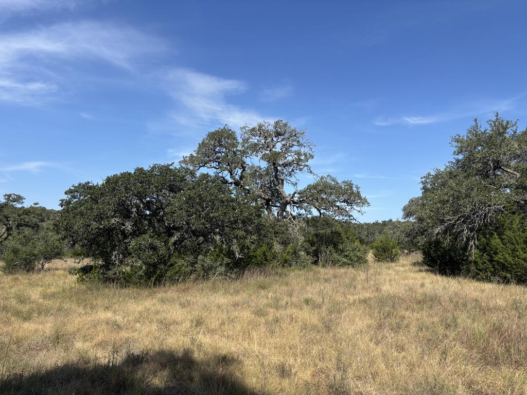 955 Upper Balcones Road Property Photo 1