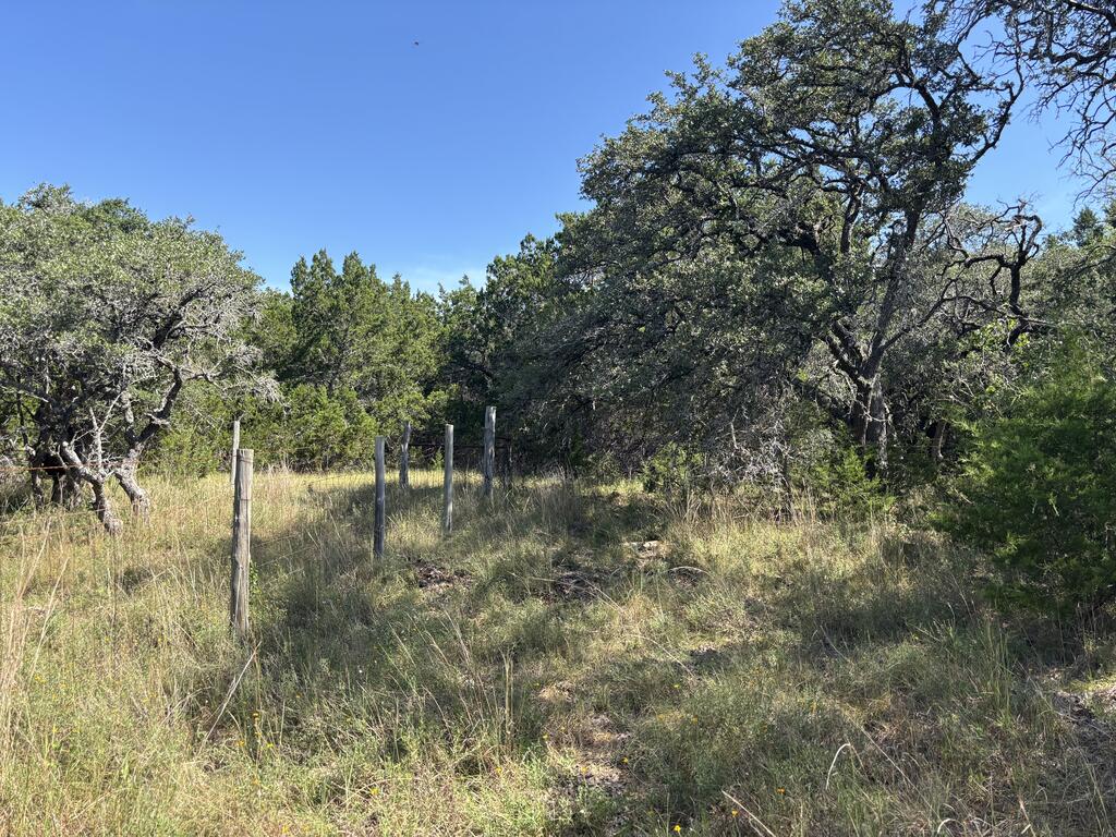 955 Upper Balcones Road Property Photo 4