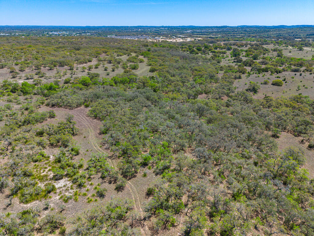 955 Upper Balcones Road Property Photo 6