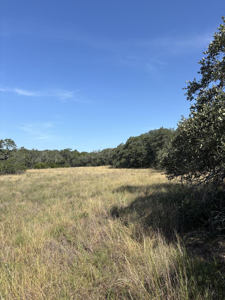 955 Upper Balcones Road Property Photo 7