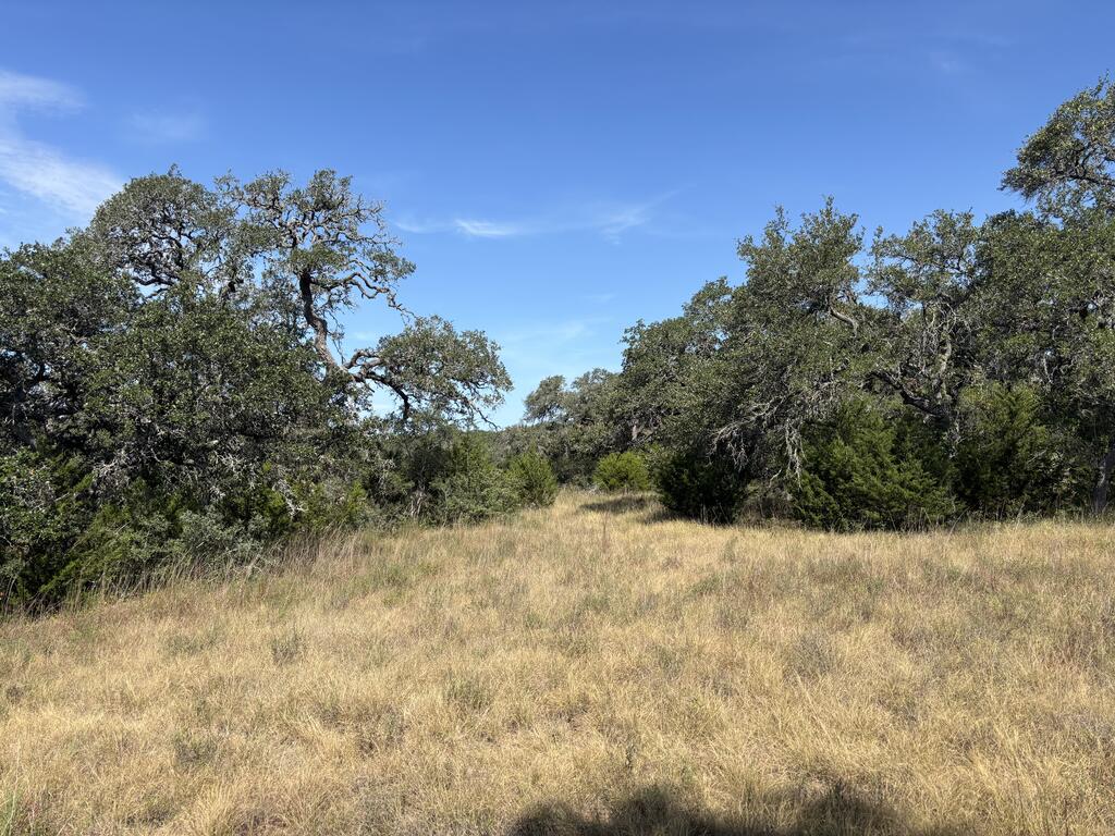 955 Upper Balcones Road Property Photo 8