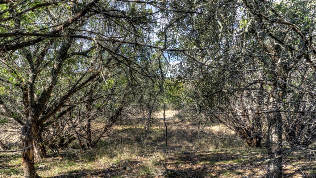 22 Squirrel Bend Property Photo 12