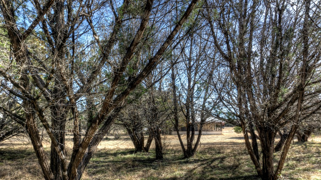 22 Squirrel Bend Property Photo 13