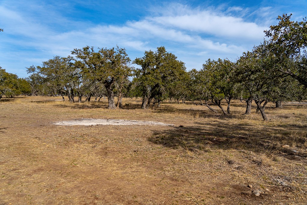 20400 Fm 2093 Property Photo 21