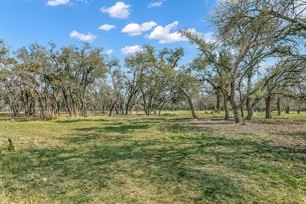 20400 Fm 2093 Property Photo 38