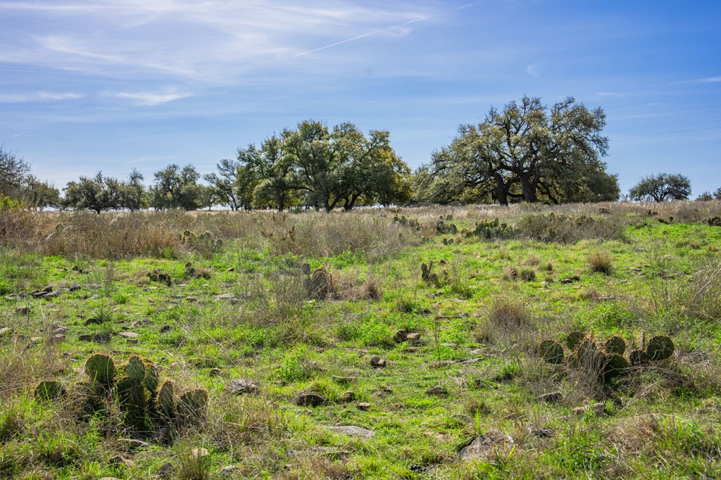 Lot 122 S Fallow Dr # 122 Property Photo 9