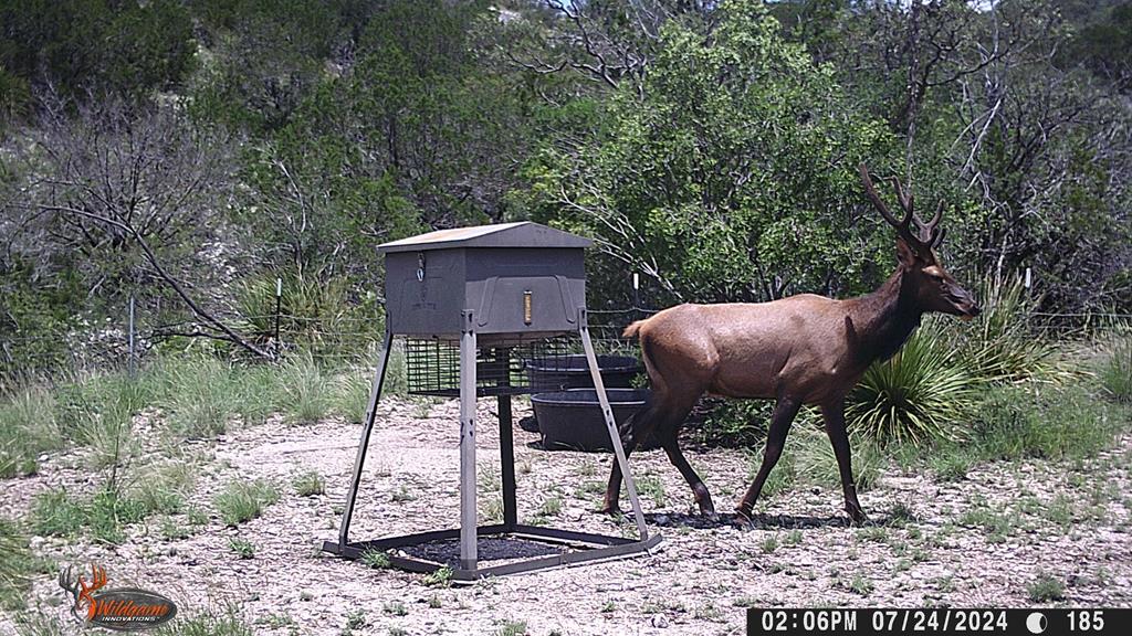 148.9 Ac Sw Fm 2523 Property Photo 1
