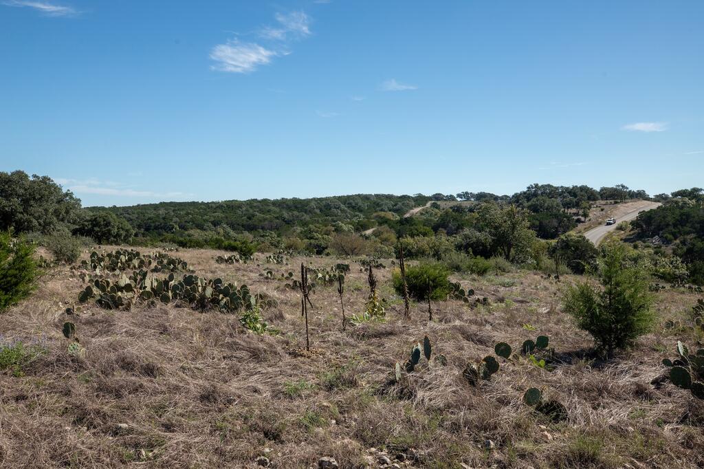 1114 N Cattlemans Crossing Dr # 155 Property Photo 10