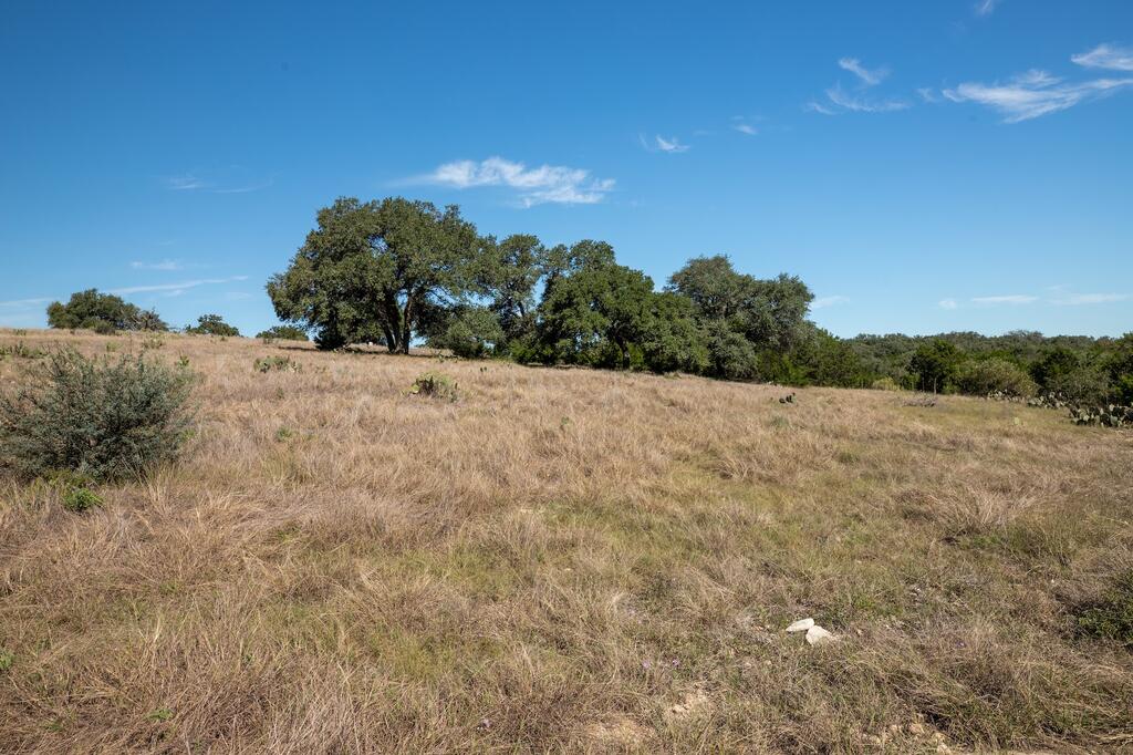1114 N Cattlemans Crossing Dr # 155 Property Photo 14