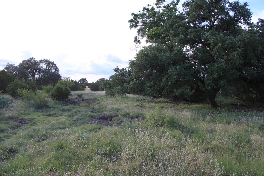 1187 Other Property Photo 31