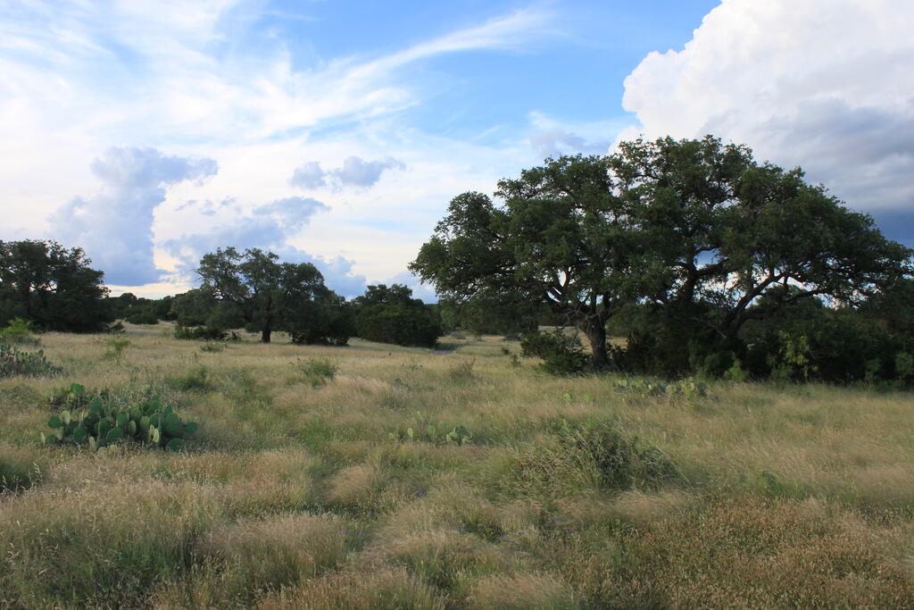 1187 Other Property Photo 33