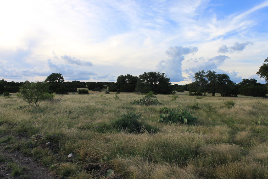 1187 Other Property Photo 34