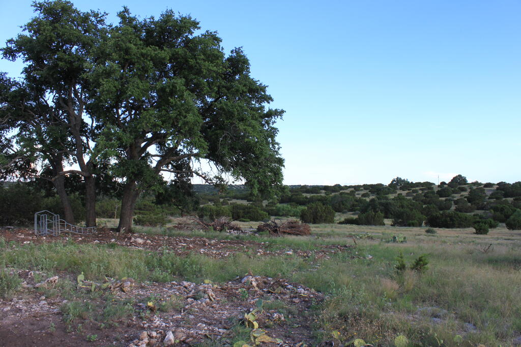 1187 Other Property Photo 35