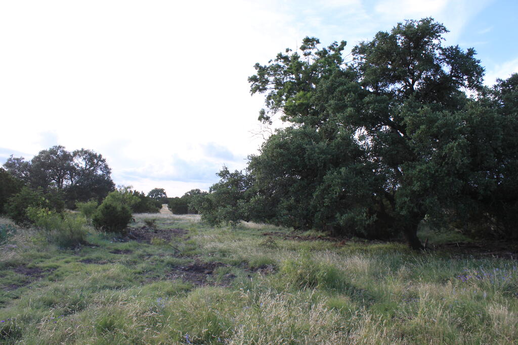 1187 Other Property Photo 37