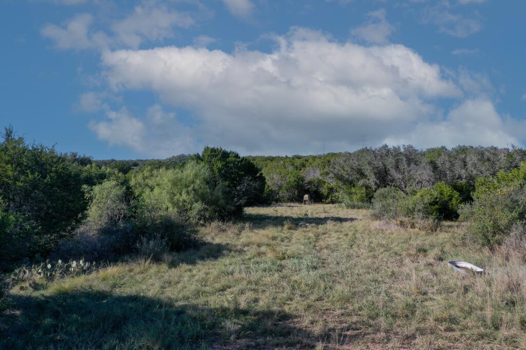 125810 Property Photo 5