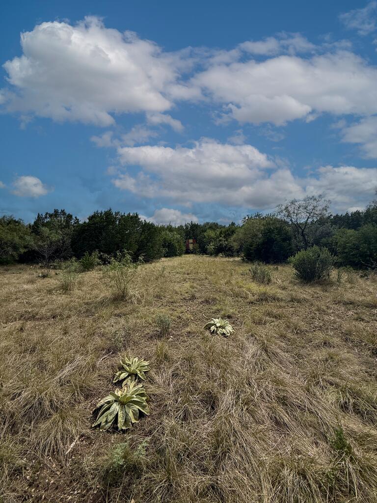 125810 Property Photo 7