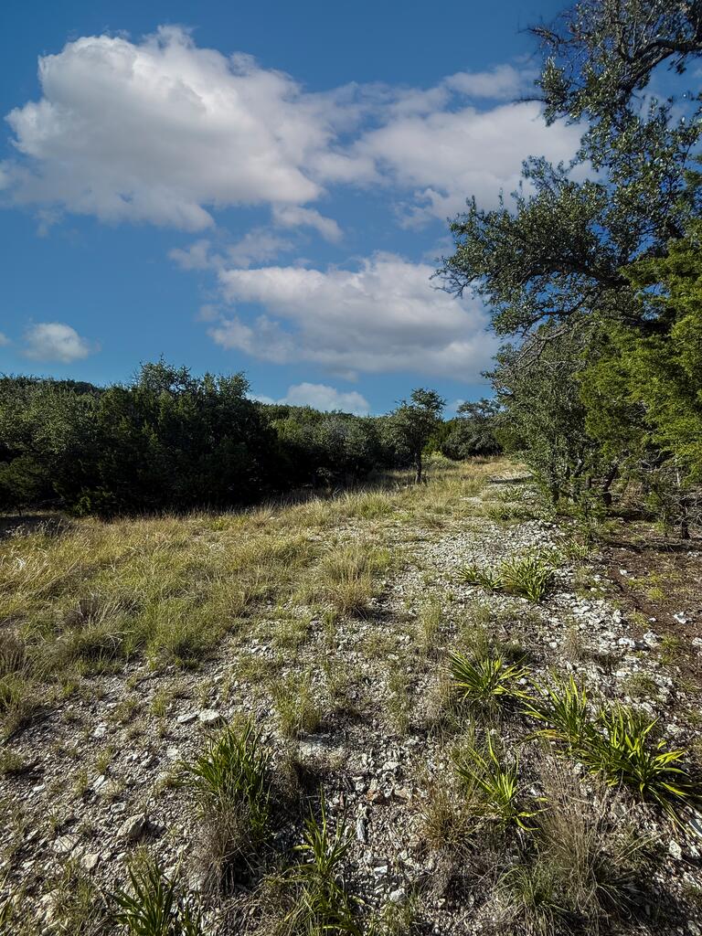 125810 Property Photo 12