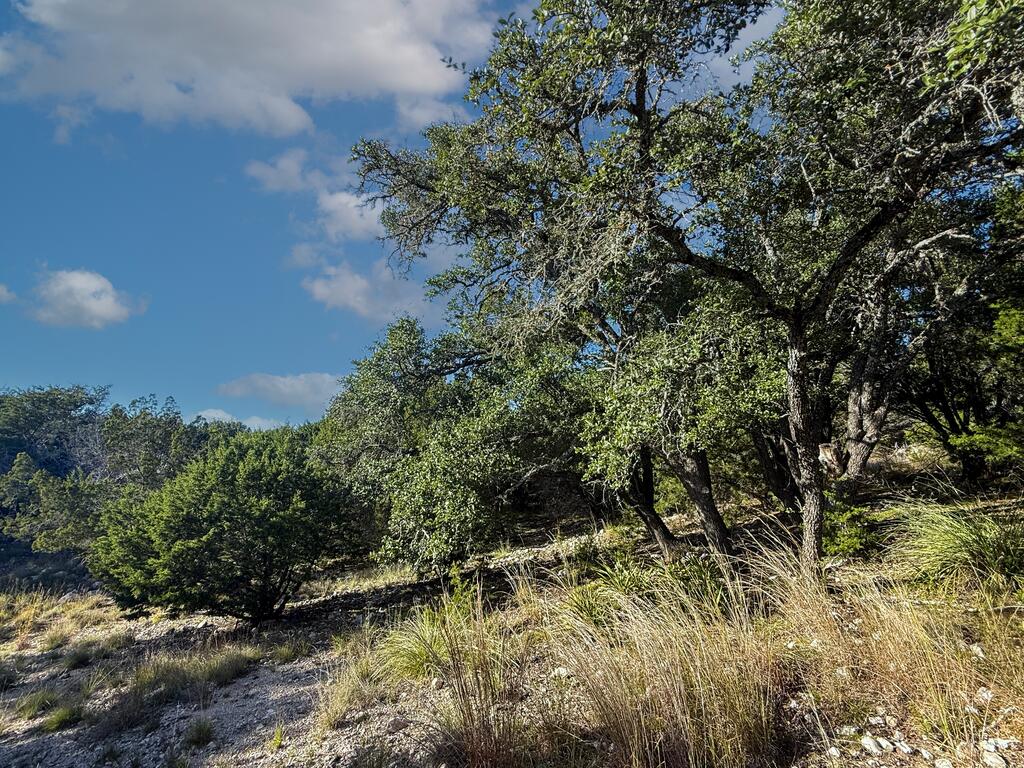 125810 Property Photo 13