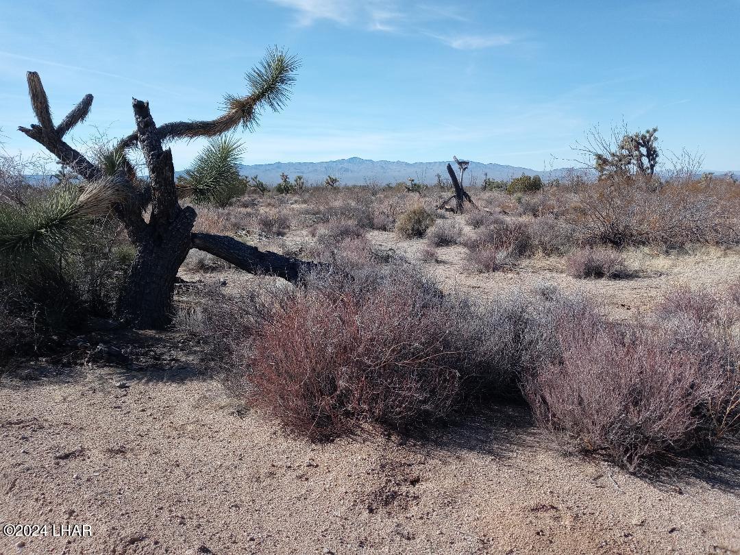Parcel 439 S Tom Mix Road Property Photo