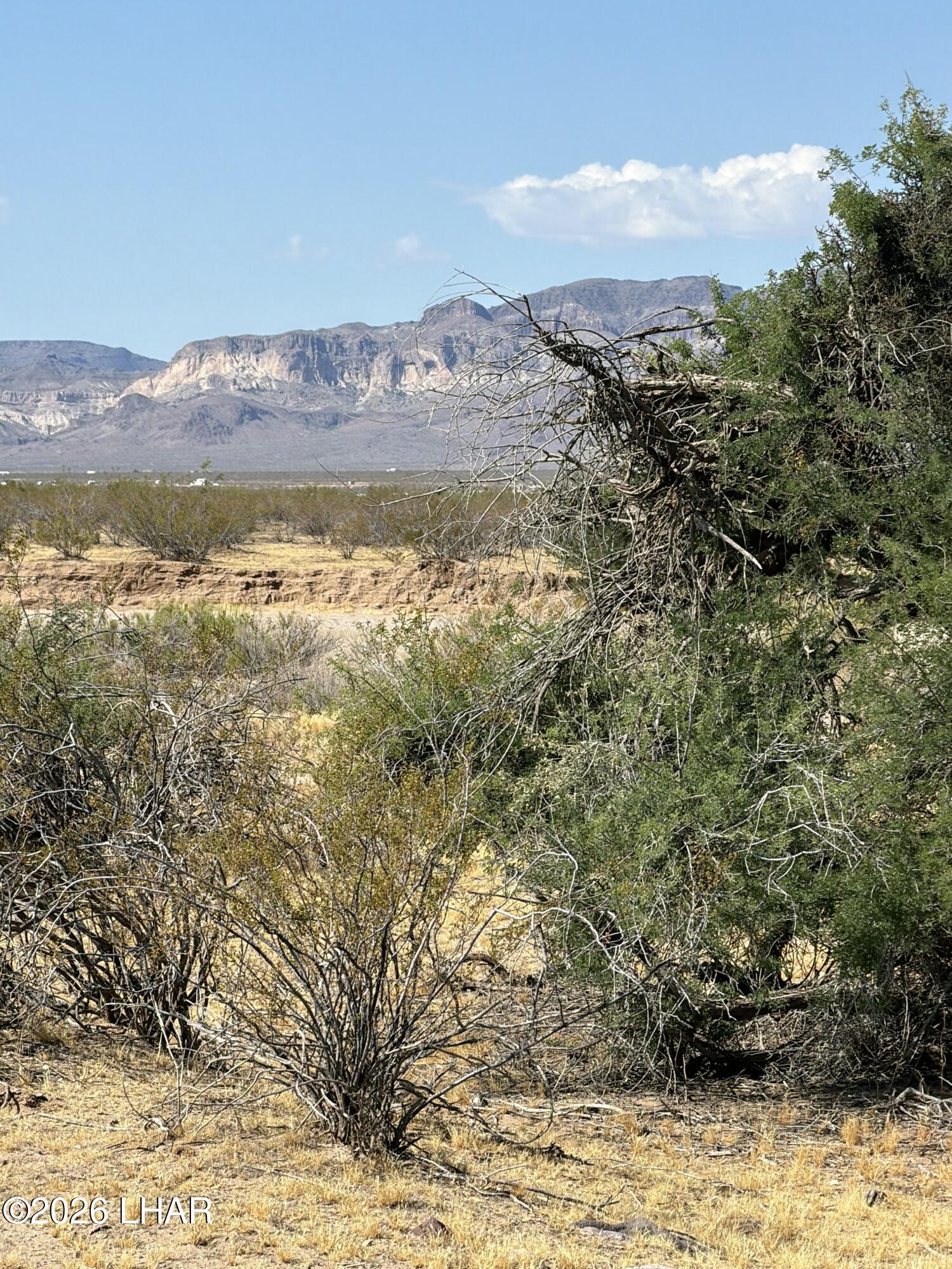 103 Acre Bulk Sale Shinerump Dr Property Photo 8