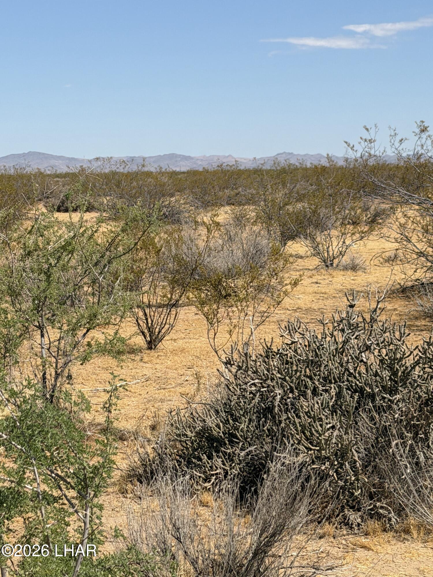 103 Acre Bulk Sale Shinerump Dr Property Photo 14