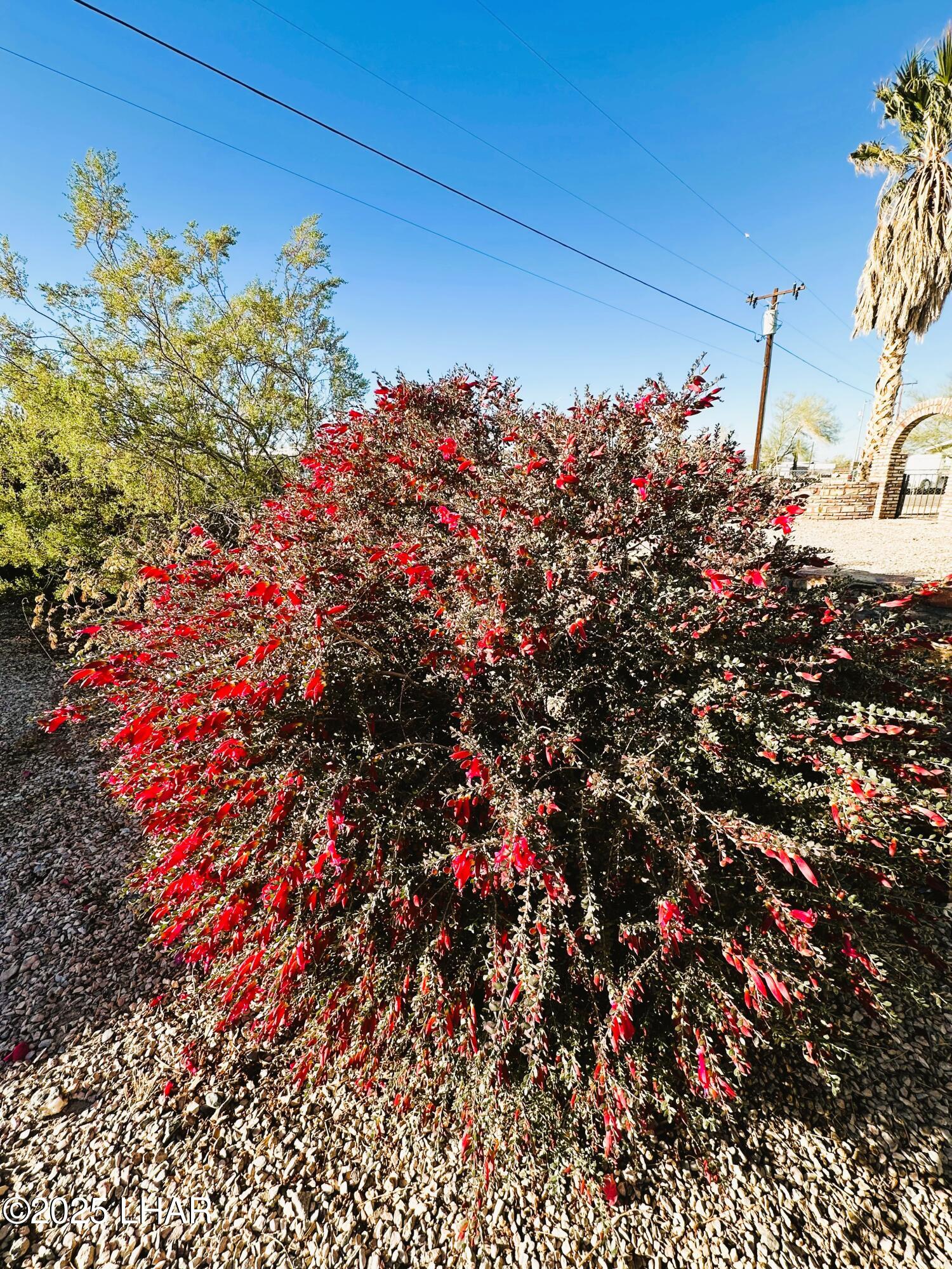 180 Sunrise St Property Photo 44