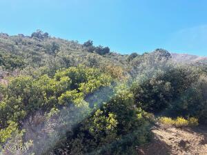 0 Mcgee Pass Property Photo