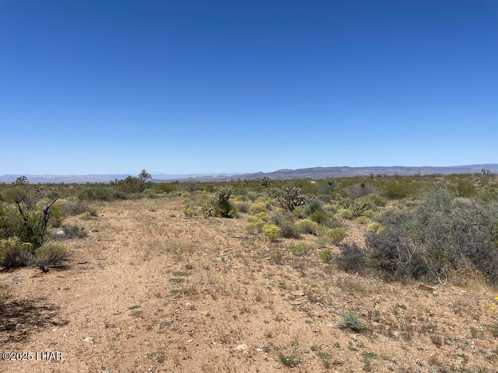 244-08-007 E Allison Dr Property Photo 19