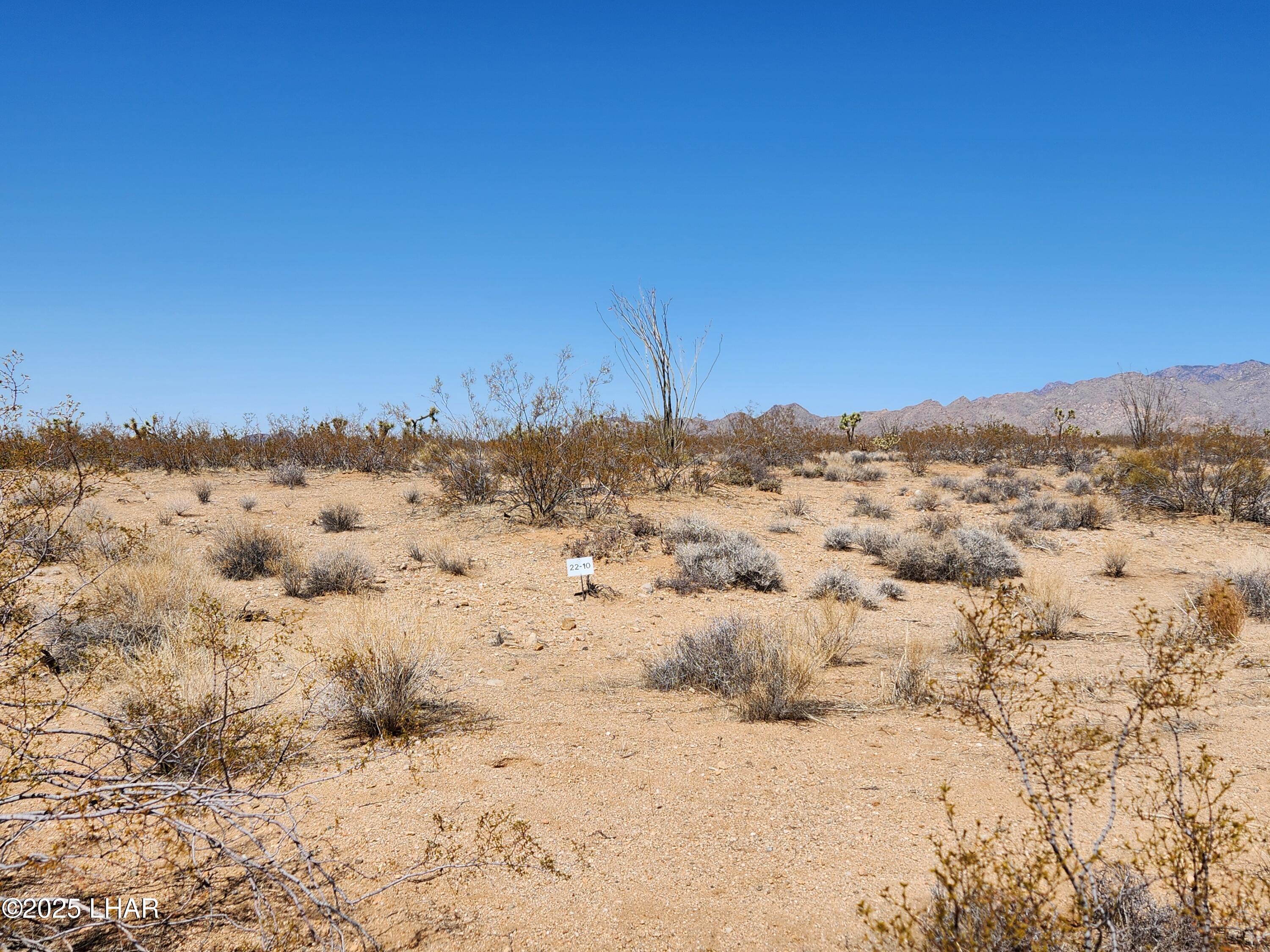 Lot 328 E Oscar Dr Property Photo 4