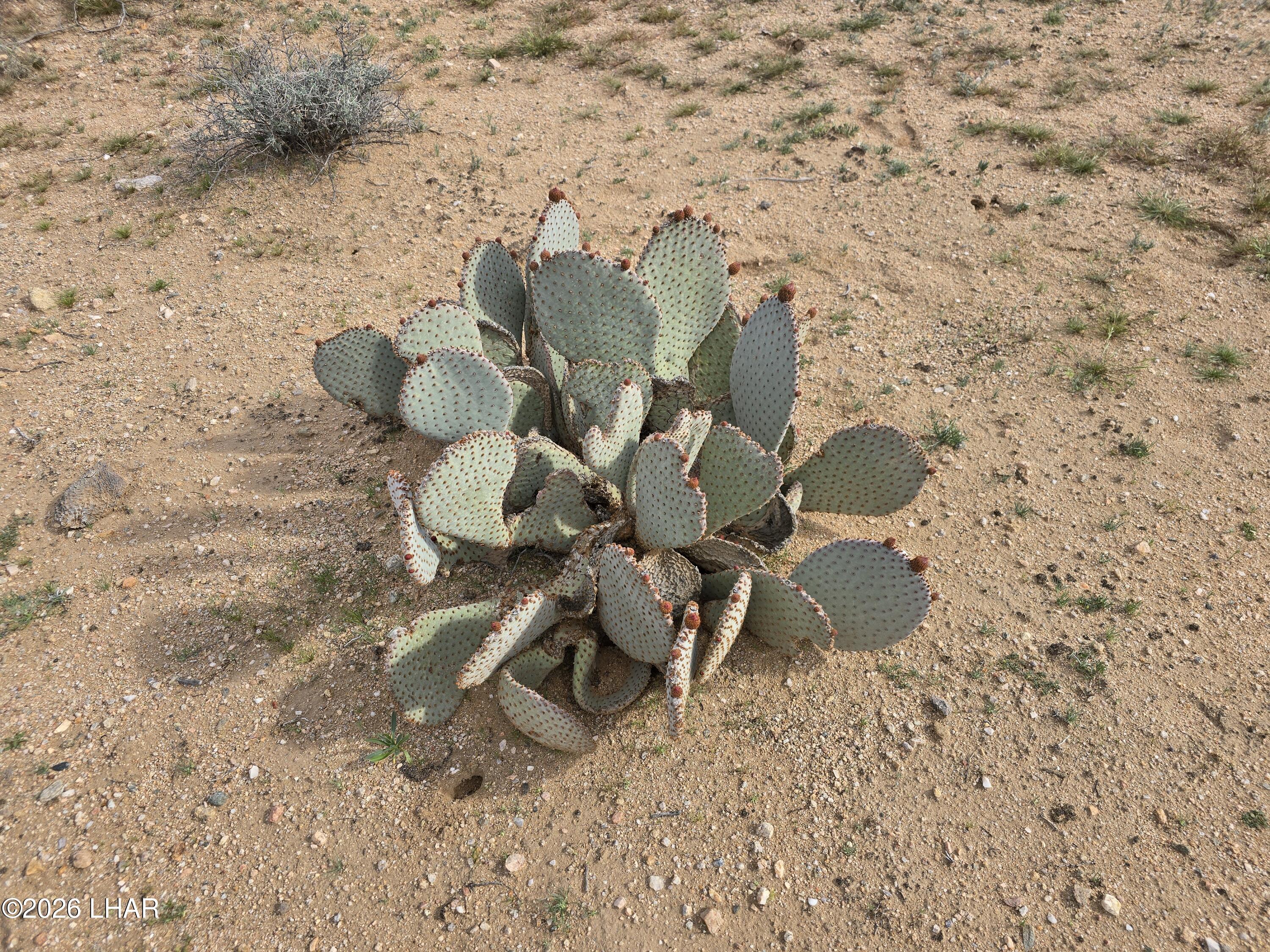 Tbd S Wild Bill Rd Property Photo 2