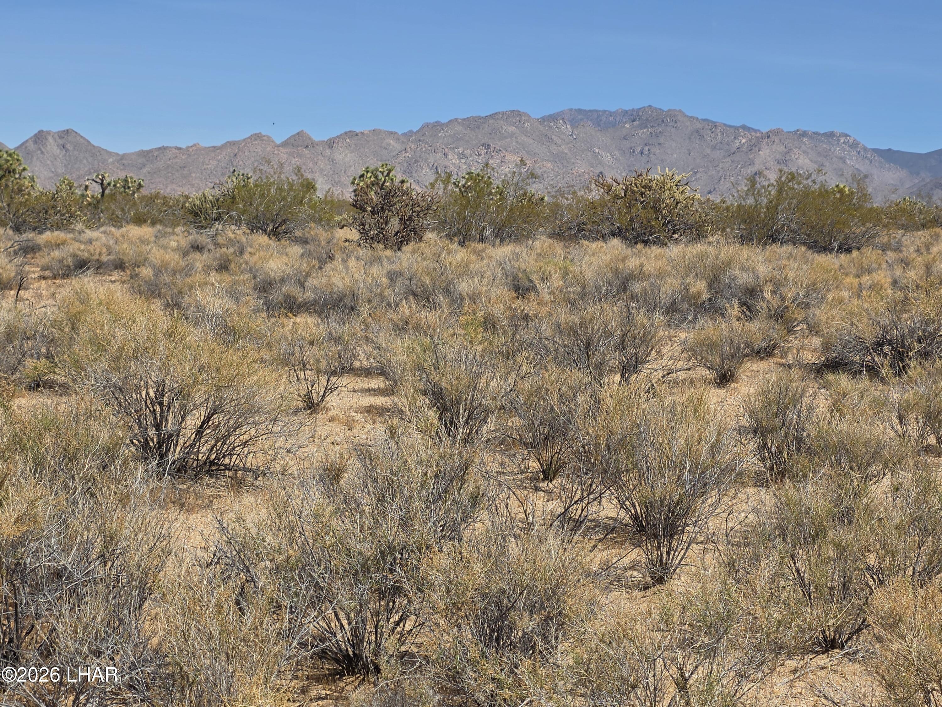 Lot 196 E Bush Rd Property Photo 3