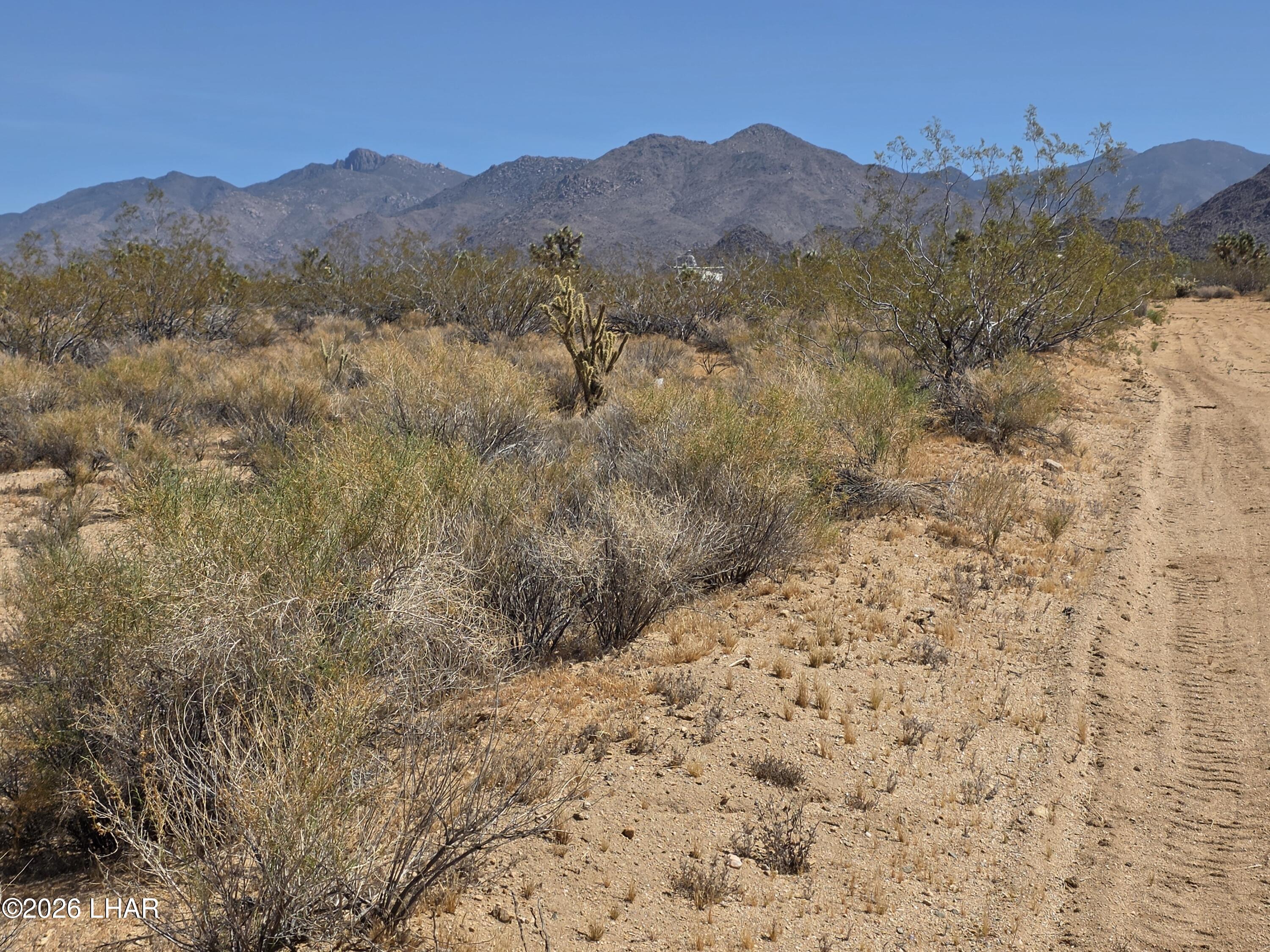 Lot 196 E Bush Rd Property Photo 4