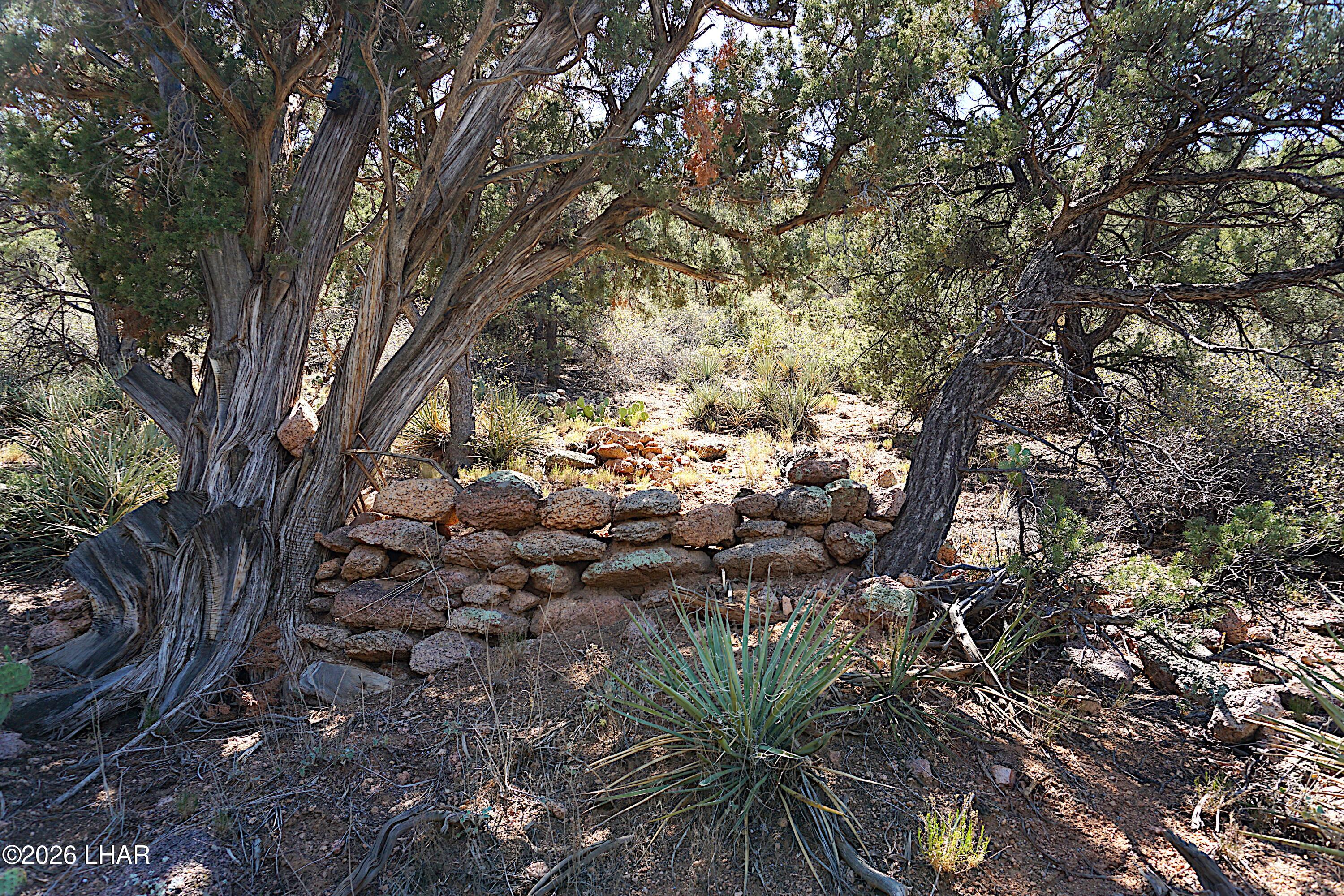 3225 S Atherton Dr Property Photo 84
