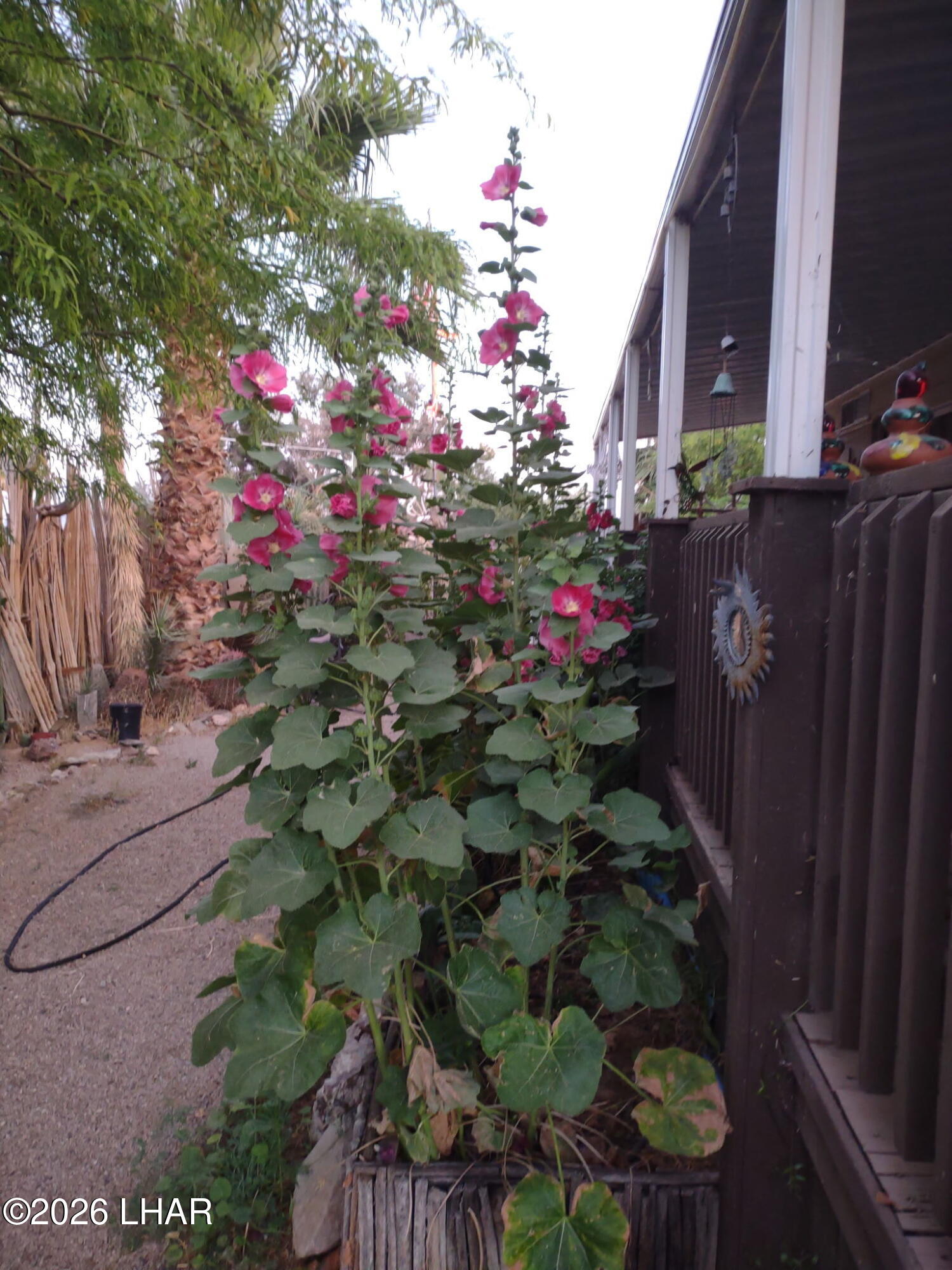 70782 Fir Ave Property Photo 22