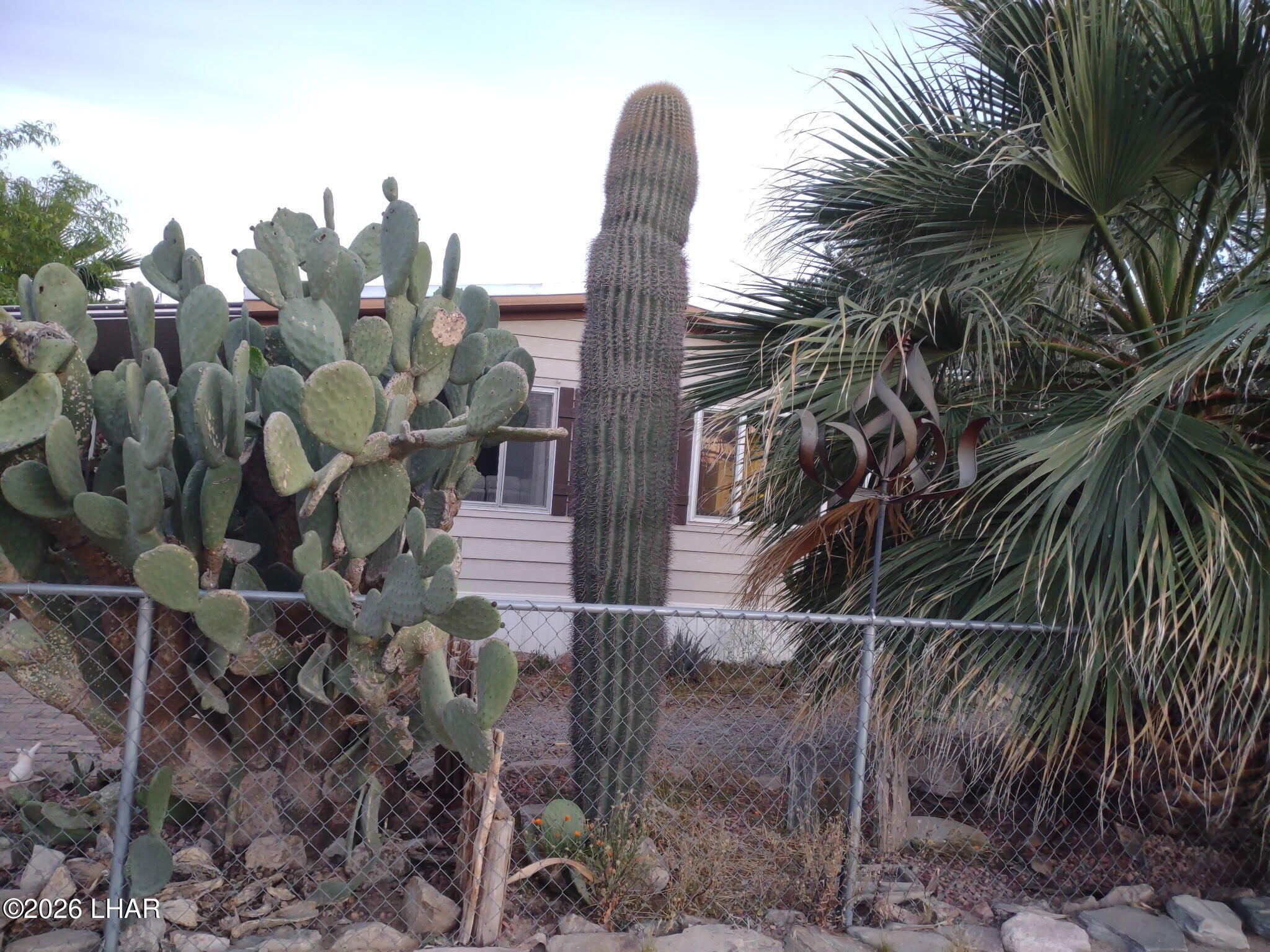 70782 Fir Ave Property Photo 26