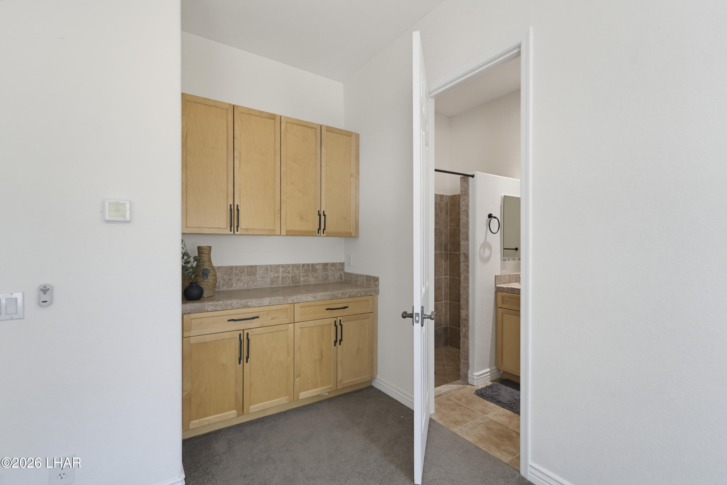 1854 E Troon Dr Property Photo 48