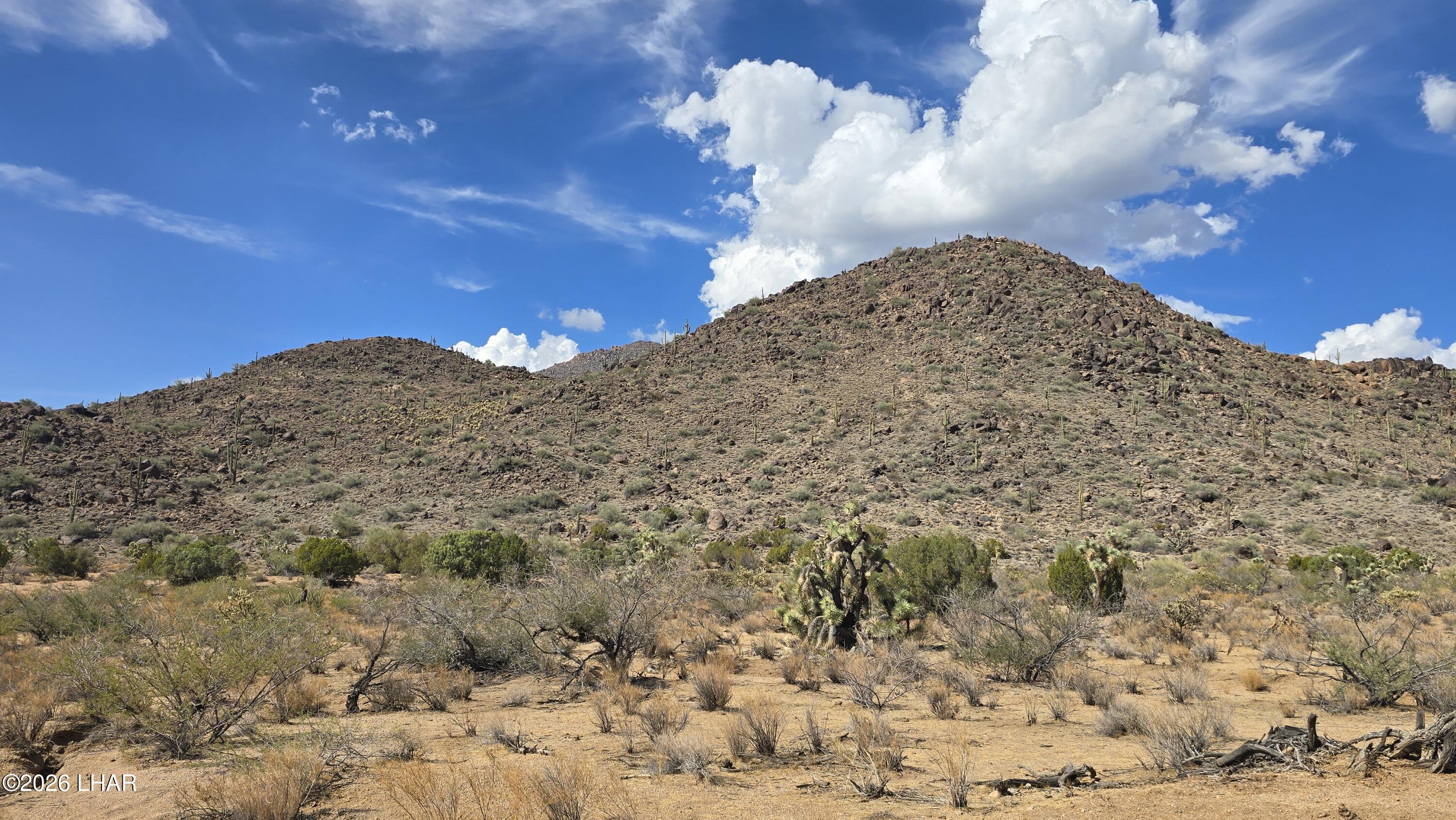 241-06-015 E Prickly Pear Dr Property Photo 43
