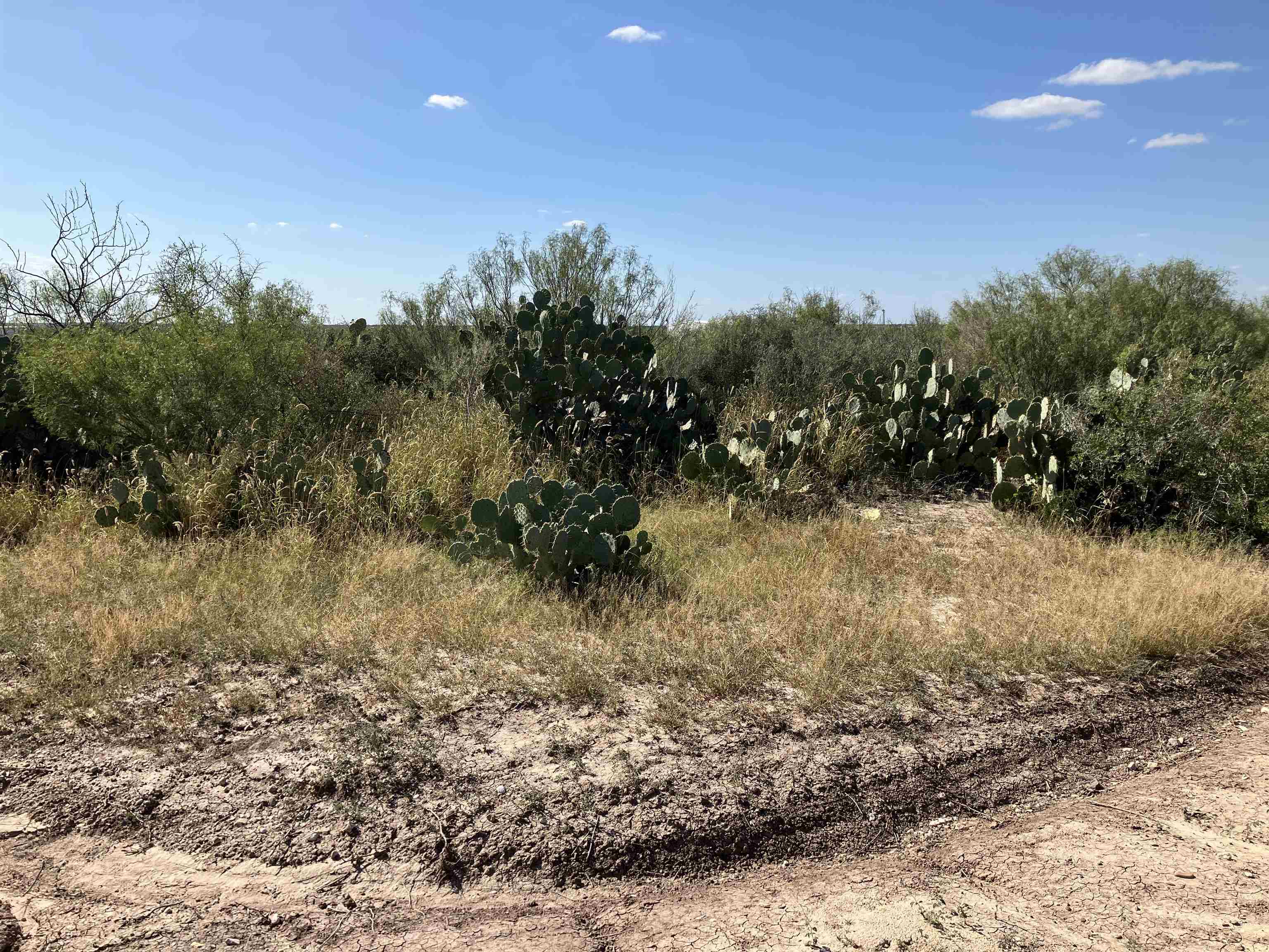 Lot 20 Camino Don Antonio Property Photo 12