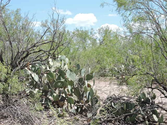 Tin Mine Rd. Property Photo 5