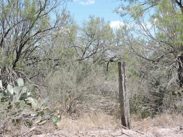 Tin Mine Rd. Property Photo 7