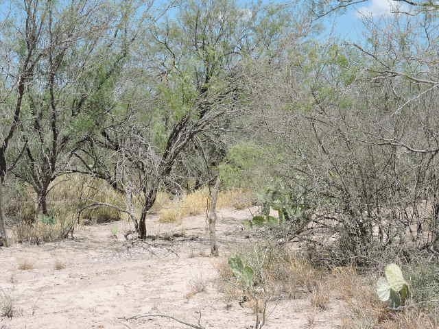 Tin Mine Rd. Property Photo 8