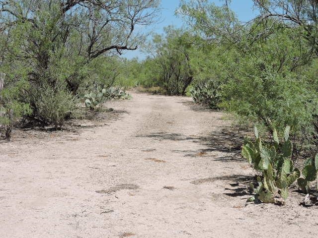 Tin Mine Rd. Property Photo 3