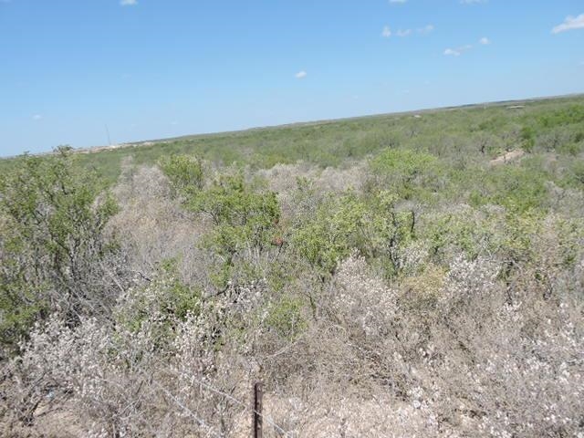 Tin Mine Rd. Property Photo 6