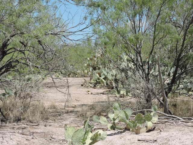 Tin Mine Rd. Property Photo 6
