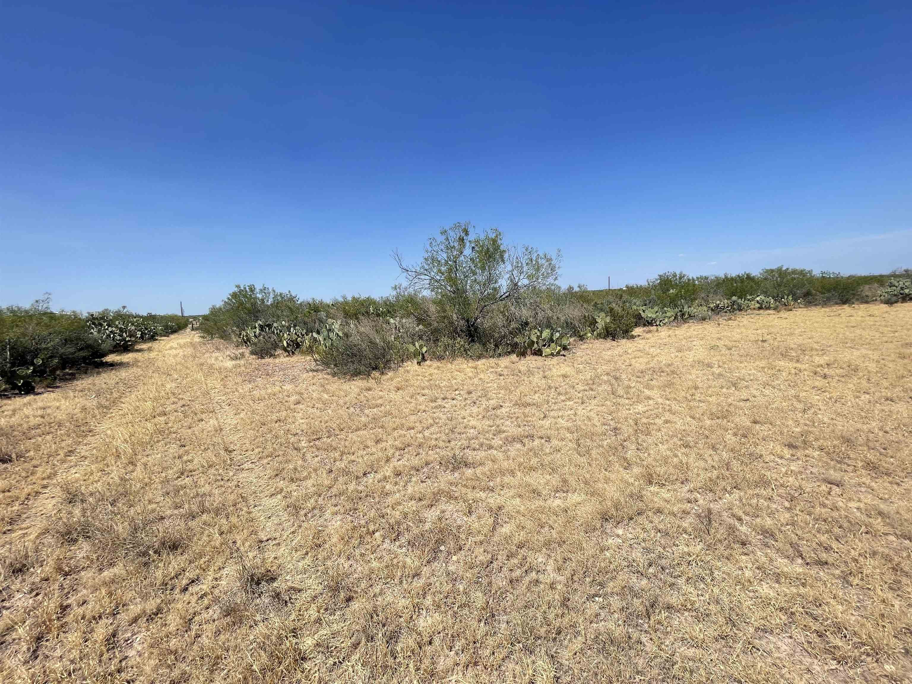 113 Ranch Road 7130 E Property Photo 4